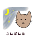 にゃんだネコ（個別スタンプ：16）