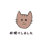 にゃんだネコ（個別スタンプ：40）