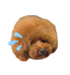 大臣くん2（個別スタンプ：1）