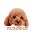 大臣くん2（個別スタンプ：3）