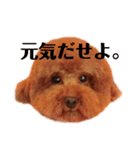 大臣くん2（個別スタンプ：7）