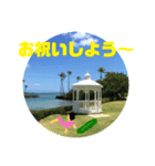 腹ペコサーファー（個別スタンプ：5）