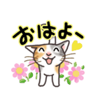 晴れ猫（個別スタンプ：1）