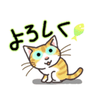 晴れ猫（個別スタンプ：2）