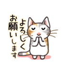 晴れ猫（個別スタンプ：3）