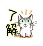 晴れ猫（個別スタンプ：10）