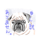ゆるっと敬語～イヌ科編～（個別スタンプ：5）