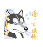 ゆるっと敬語～イヌ科編～（個別スタンプ：7）