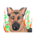 ゆるっと敬語～イヌ科編～（個別スタンプ：8）