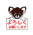 猫のようなチワワのコロンのイラスト（個別スタンプ：12）