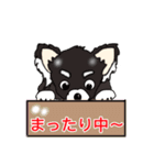 猫のようなチワワのコロンのイラスト（個別スタンプ：36）