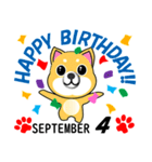 柴犬の誕生日おめでとう 9月（個別スタンプ：4）