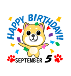 柴犬の誕生日おめでとう 9月（個別スタンプ：5）