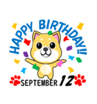 柴犬の誕生日おめでとう 9月（個別スタンプ：12）