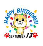 柴犬の誕生日おめでとう 9月（個別スタンプ：13）