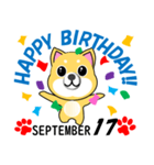 柴犬の誕生日おめでとう 9月（個別スタンプ：17）