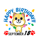 柴犬の誕生日おめでとう 9月（個別スタンプ：18）
