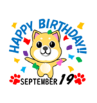 柴犬の誕生日おめでとう 9月（個別スタンプ：19）