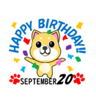 柴犬の誕生日おめでとう 9月（個別スタンプ：20）