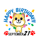 柴犬の誕生日おめでとう 9月（個別スタンプ：21）