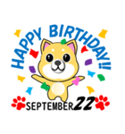 柴犬の誕生日おめでとう 9月（個別スタンプ：22）
