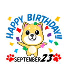 柴犬の誕生日おめでとう 9月（個別スタンプ：23）