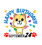 柴犬の誕生日おめでとう 9月（個別スタンプ：24）