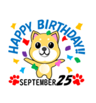 柴犬の誕生日おめでとう 9月（個別スタンプ：25）