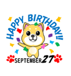 柴犬の誕生日おめでとう 9月（個別スタンプ：27）