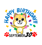 柴犬の誕生日おめでとう 9月（個別スタンプ：30）