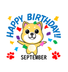 柴犬の誕生日おめでとう 9月（個別スタンプ：31）