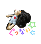 黒プーの豆太くん7（個別スタンプ：2）