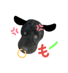 黒プーの豆太くん7（個別スタンプ：3）