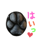 黒プーの豆太くん7（個別スタンプ：8）