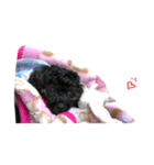 ツキとクロムスタンプ（個別スタンプ：4）