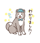 毎日！あきたわんこ〈成犬編〉（個別スタンプ：3）