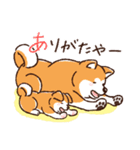 毎日！あきたわんこ〈成犬編〉（個別スタンプ：10）