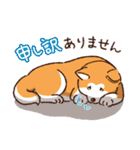 毎日！あきたわんこ〈成犬編〉（個別スタンプ：17）