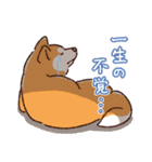 毎日！あきたわんこ〈成犬編〉（個別スタンプ：18）