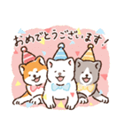 毎日！あきたわんこ〈成犬編〉（個別スタンプ：29）