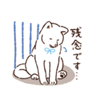 毎日！あきたわんこ〈成犬編〉（個別スタンプ：35）