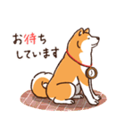 毎日！あきたわんこ〈成犬編〉（個別スタンプ：37）