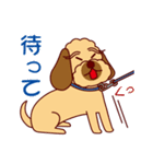 日常会話をするダップー（個別スタンプ：6）