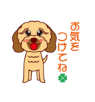 日常会話をするダップー（個別スタンプ：12）