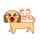 日常会話をするダップー（個別スタンプ：16）