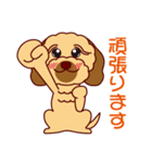 日常会話をするダップー（個別スタンプ：20）