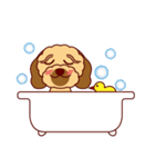 日常会話をするダップー（個別スタンプ：23）