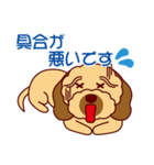 日常会話をするダップー（個別スタンプ：25）