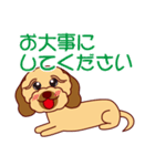 日常会話をするダップー（個別スタンプ：26）