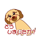 日常会話をするダップー（個別スタンプ：27）